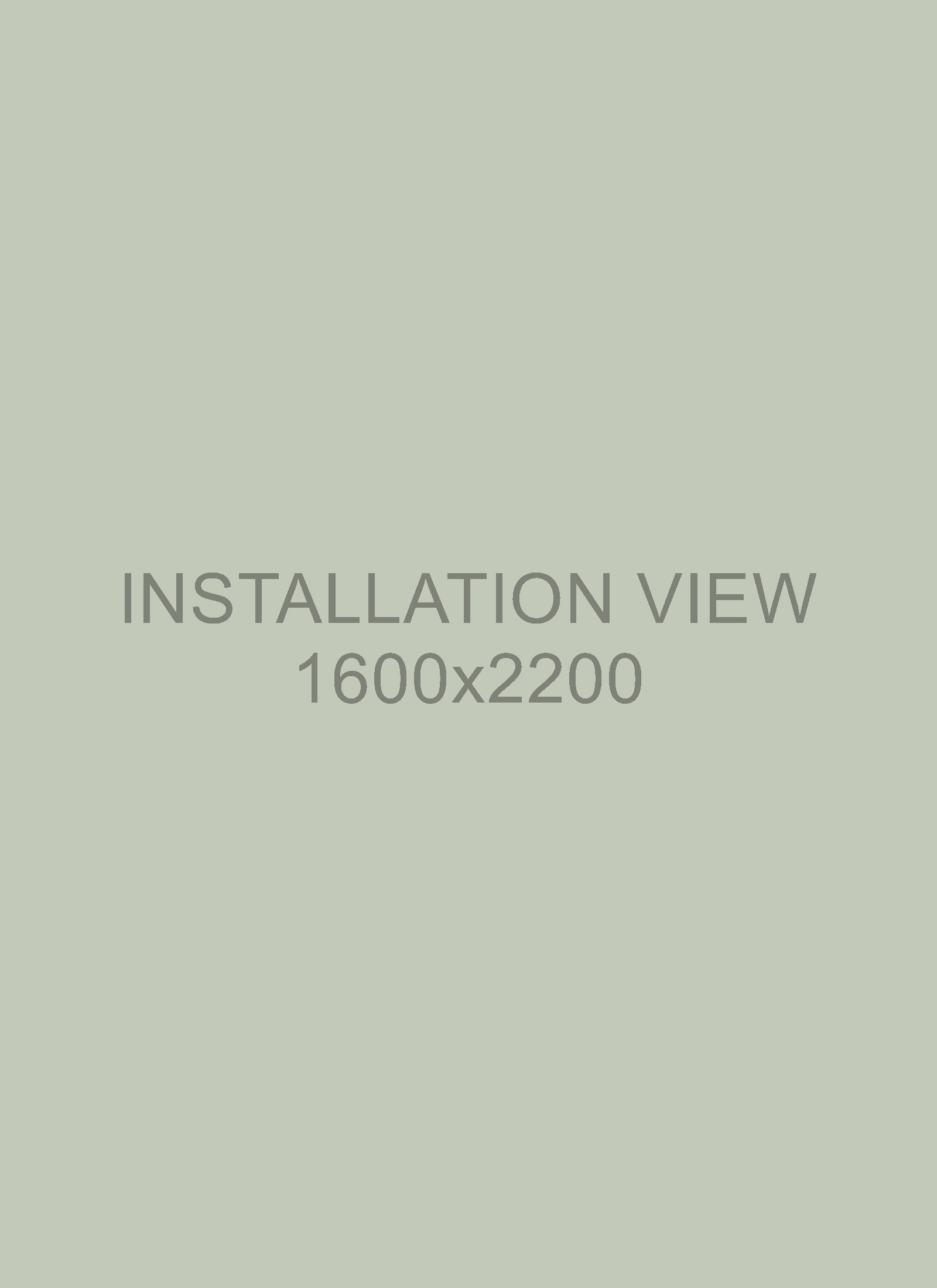 Installation view, Example Gallery, 2026